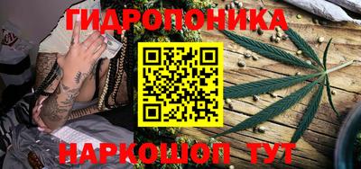 бошки Гатчина