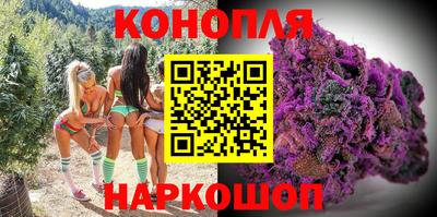 бошки Гатчина