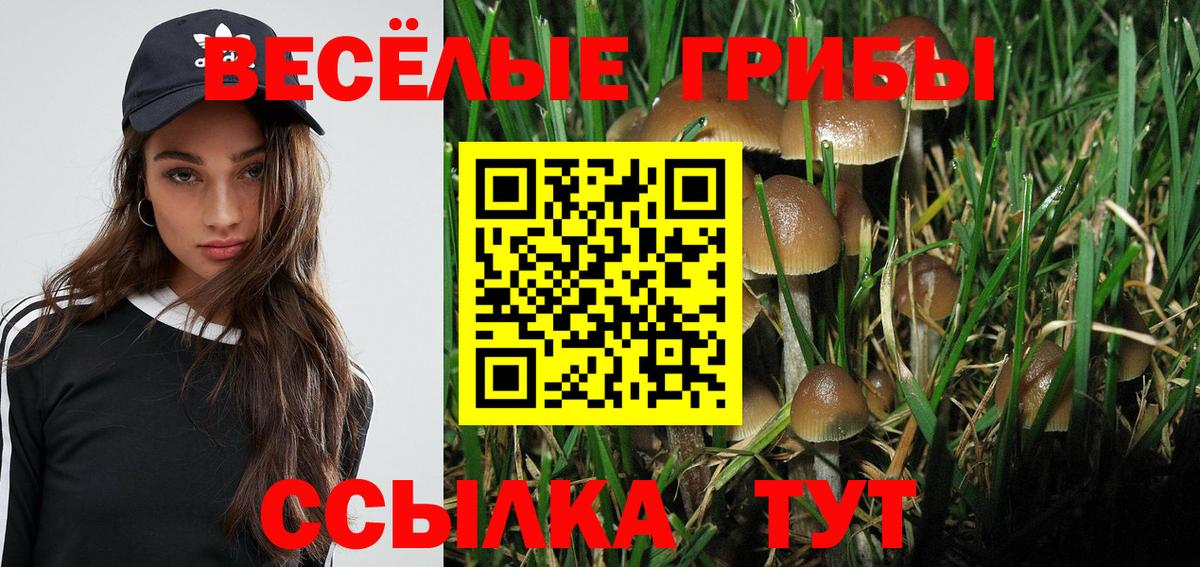 Чехов  где можно купить   Галлюциногенные грибы Cubensis  Вход с VPN  Галлюциногенные грибы MAGIC MUSHROOMS 