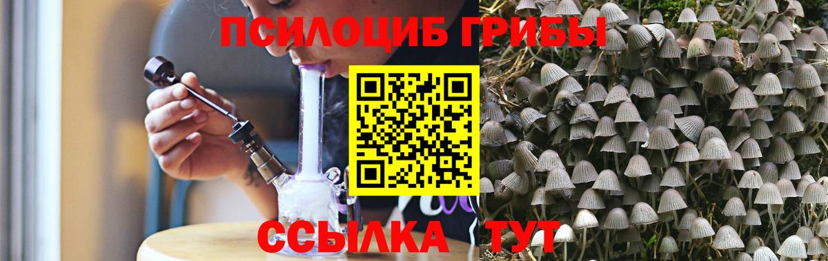 Псилоцибиновые грибы ЛСД Чехов
